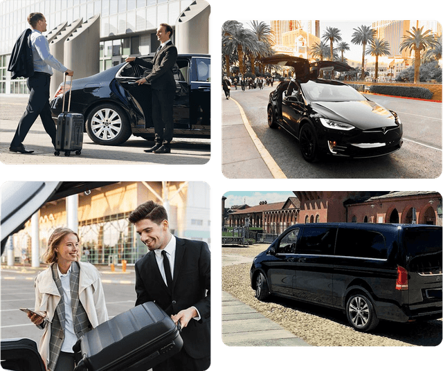 Chauffeur opening door for passenger